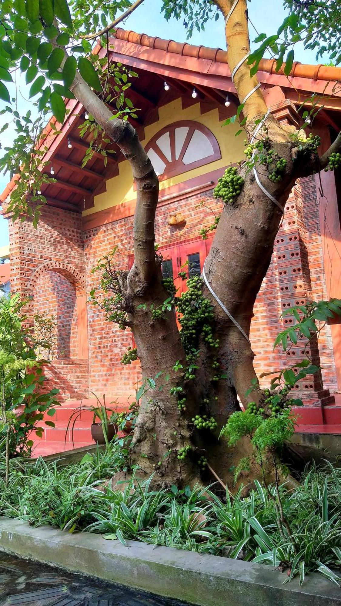 Tam Family Homestay Ніньбінь Екстер'єр фото